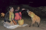 forenji-feeding-teki