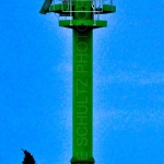 20100105-52169-53_0