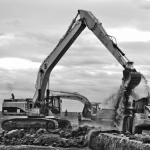 EATING UP THE OLD NORTH BREAKWATER
