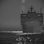 MORNING ARRIVALS