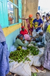 chat-vendors