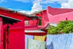 colour-is-everywhere