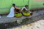 lime-vendors