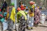 potatoe-vendors