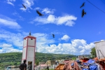 ybks-at-meat-market