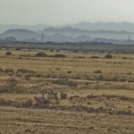 20071231-815-1