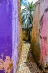 jugal