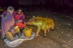 the-hyena-man-forenji-teki